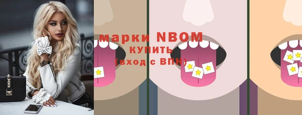 шишки Аркадак