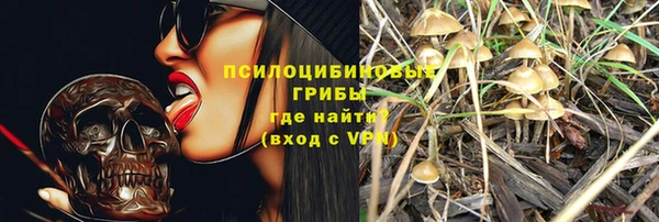 шишки Аркадак